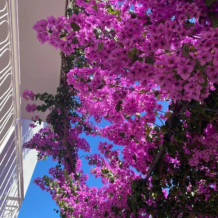 Summer Sea View Near *