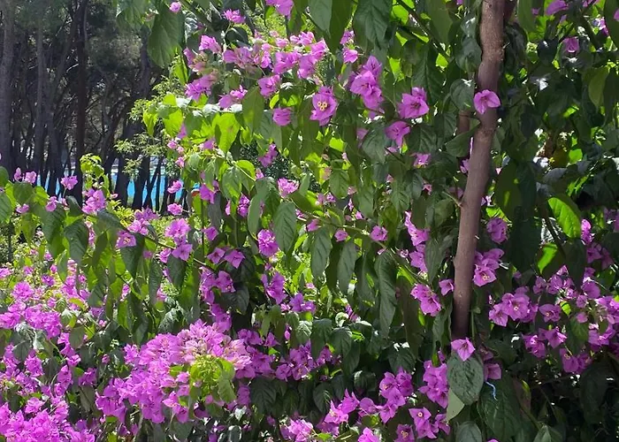 Appartement Summer Sea View Near *