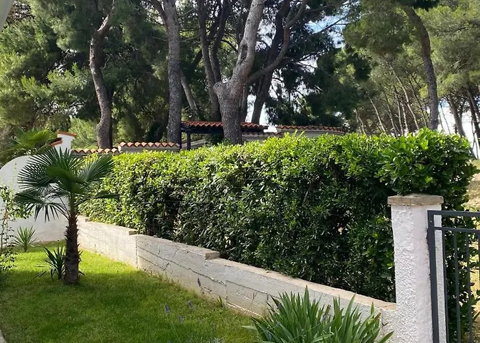 Appartement Summer Sea View Near *