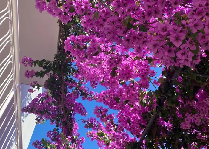 Summer Sea View Near *